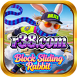 Icon of program: r38.comBlock Sliding Rabb…