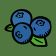 Icon of program: Useful Nova Scotia Plants
