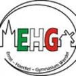 Icon of program: Ernst-Haeckel-Gymnasium