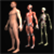 Icono de programa: Drill Down Anatomy by WAG…