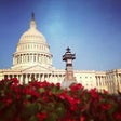 Icono de programa: Washington DC Tour Guide …