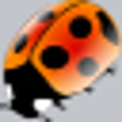 Icono de programa: Coccinellida