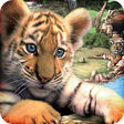 Icono de programa: Wildlife Park