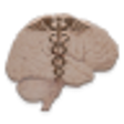 Icon of program: Neurology Quiz Pro Volume…
