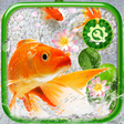 Icon of program: Koi Fish Launcher Theme