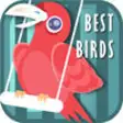 Icon of program: The Best Birds Sounds