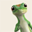 Icono de programa: GEICO for Windows 8