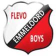 Icon of program: Flevo Boys