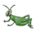 Icon of program: Cricket Temp