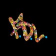 Icon of program: FDL
