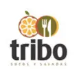 Icon of program: Tribo - Sucos e Saladas
