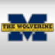 The Wolverine icon