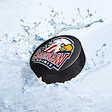 Icon of program: Saginaw Spirit Official A…