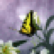 Icono de programa: Butterflies World Screens…