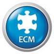 Icon of program: TOTVS | ECM Lite