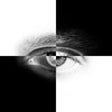 Icon of program: iPCamera - High-End Netwo…