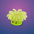 Icon of program: Corals Garden