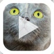 Icon of program: Slideshow Karaoke: Presen…