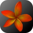 Icono de programa: Plumeria Smart Creator