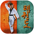 Icon of program: Taekwondo Pro