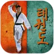 Icon of program: Taekwondo Pro