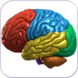 Icon of program: 3D Human Brain