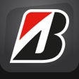 Icon of program: Bridgestone Lebanon