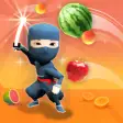Icon of program: Chop Ninja : EDM Chop Fru…