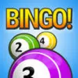 Icon of program: Best Bingo Game - Multi-P…