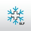 Icon of program: White Risk - SLF Lawinen-…