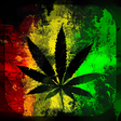 Icono de programa: Weed