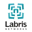 Icon of program: Labris SSL VPN