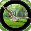 Icono de programa: Forest 3D Birds Hunting -…