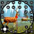 Icon of program: Wild Deer Hunter Adventur…