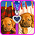 Icono de programa: Puppy lock screen. Zipper…