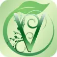 Icon of program: Veggy - The Vegan Social …
