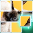Icon of program: JigSolve - Jigsaw Puzzle
