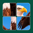 Icon of program: Jigsaw Solitaire: Slide P…
