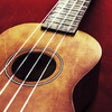 Icon of program: Ukulele Chord Detector