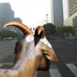 Icon of program: Drive Goat in City Simula…