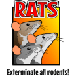 Icon of program: Rats DEMO