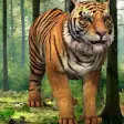 Icon of program: Tiger 3D Video Live Wallp…