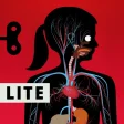 Icon of program: The Human Body Lite