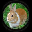Icon of program: Rabbit Hunting 3D
