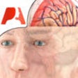 Icon of program: Pocket Brain