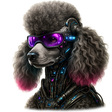Icon of program: Poodle Clicker 2