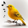 Icon of program: Bird Calls, Sounds & Ring…