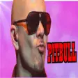 Icon of program: Pitbull Song
