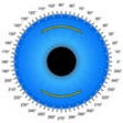 Icon of program: LRI Calc - Limbal Relaxin…