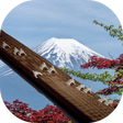 Icon of program: Koto 13-stringed